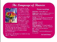 The Language of FLowers